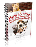 how to stop 10 common dog obedience problems