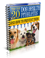 the top 20 dog health problems